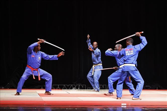 Tiết mục trình diễn của các võ sinh Liên đoàn Vovinam Senegal. Ảnh: Doãn Tấn - TTXVN