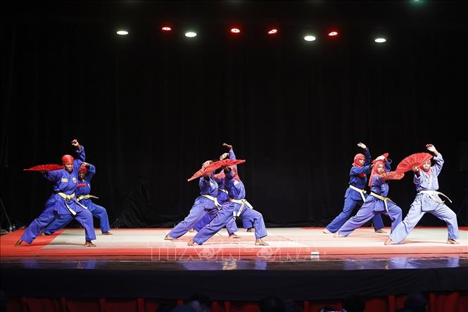 Tiết mục trình diễn của các võ sinh Liên đoàn Vovinam Senegal. Ảnh: Doãn Tấn - TTXVN