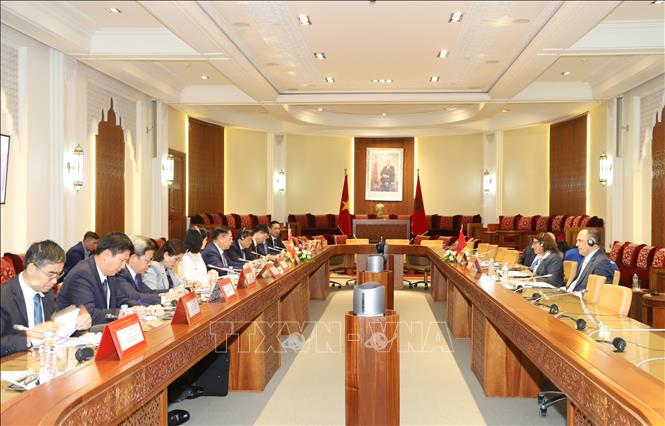 Đoàn đại biểu Đảng Cộng sản Việt Nam do đồng chí Nguyễn Trọng Nghĩa, Ủy viên Bộ Chính trị, Bí thư Trung ương Đảng, Trưởng Ban Tuyên giáo Trung ương dẫn đầu làm việc với Phó Chủ tịch Hạ viện Maroc Nadia Touahmi (Maroc 6/2024). Ảnh: Hồng Minh - p/v TTXVN tại châu Phi