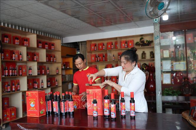 Đóng gói sản phẩm nước mắm truyền thống mang thương hiệu của Công ty TNHH Sản xuất – Thương mại và Dịch vụ Hati. Ảnh: Hoàng Nhị - TTXVN.