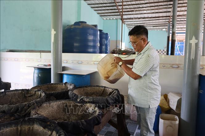 Lọc nước mắm tại cơ sở sản xuất nước mắm truyền thống của Công ty TNHH Sản xuất nước mắm Thiên Lộc. Ảnh: Hoàng Nhị - TTXVN.