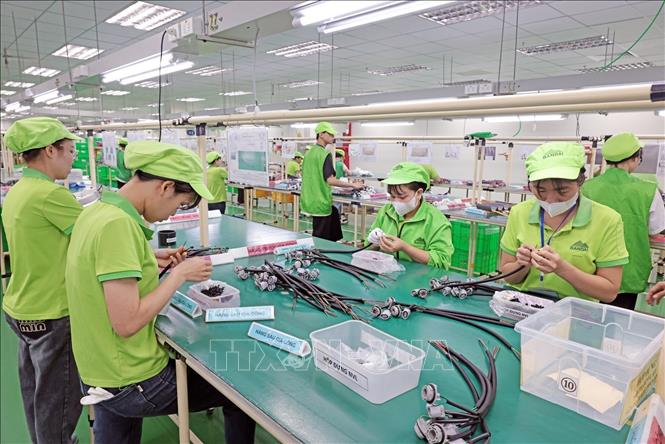 Lắp ráp cụm dây dẫn điện tại nhà máy của Công ty Bandai Việt Nam. Ảnh: Trần Việt - TTXVN