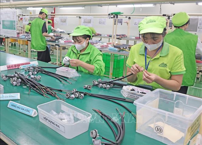 Lắp ráp cụm dây dẫn điện tại nhà máy của Công ty Bandai Việt Nam. Ảnh: Trần Việt - TTXVN