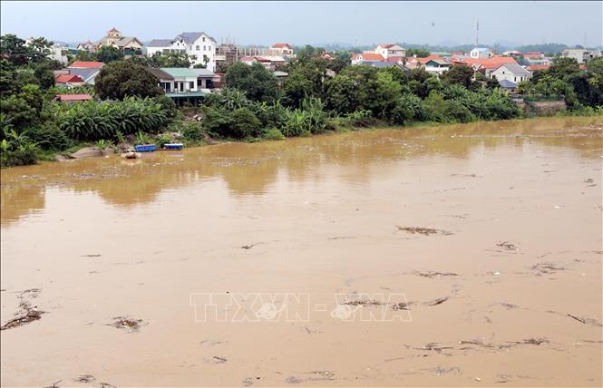 Trên sông Thao (đoạn qua phường Phú Thọ) mực nước đang lên nhanh, đề phòng ngập lụt các vùng trũng thấp ven sông. Ảnh: Tạ Toàn – TTXVN