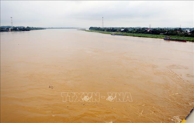Trên sông Thao, mực nước đang lên nhanh đề phòng ngập lụt các vùng trũng thấp ven sông. Ảnh: Tạ Toàn – TTXVN