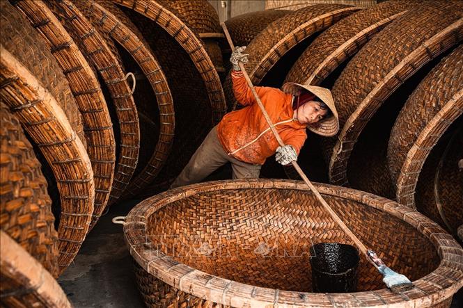 Kỹ thuật chống thấm bằng phân bò tươi và nhựa dầu rái được truyền lại từ đời cha ông, giúp thúng có màu đẹp chống mối mọt. Lớp chống thấm đặc biệt này có thể dùng trong môi trường nước biển 4 - 5 năm. Ảnh: Khánh Hòa – TTXVN 