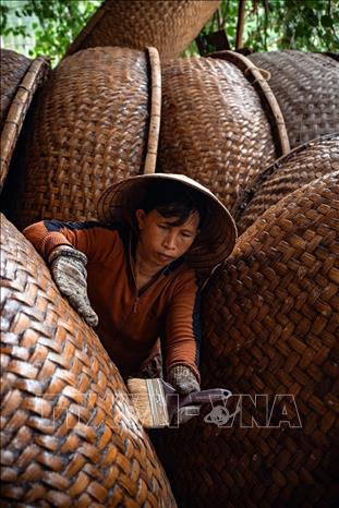 Người thợ thực hiện công đoạn quét dầu rái cho thúng chai. Ảnh: Khánh Hòa – TTXVN 