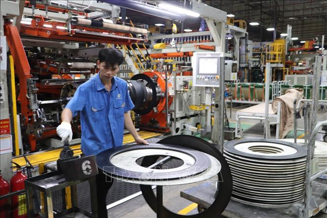  Lao động làm việc tại Công ty TNHH Lốp Advance Việt Nam (Khu công nghiệp Long Giang). Ảnh: Minh Trí - TTXVN