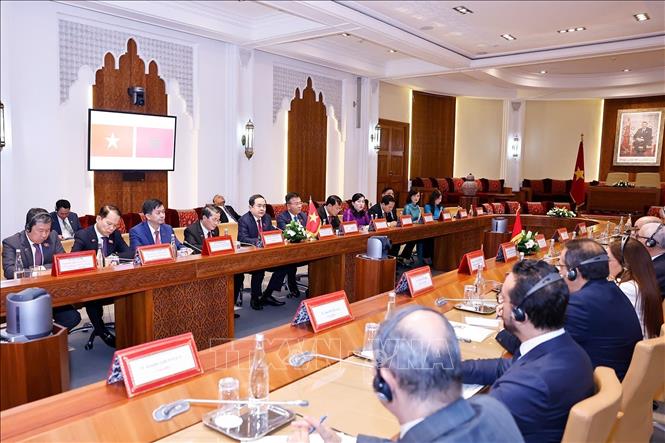 Chủ tịch Quốc hội Trần Thanh Mẫn hội đàm với Chủ tịch Hạ viện Maroc Rachid Talbi Alami. Ảnh: Doãn Tấn - TTXVN
