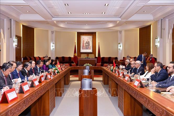 Chủ tịch Quốc hội Trần Thanh Mẫn hội đàm với Chủ tịch Hạ viện Maroc Rachid Talbi Alami. Ảnh: Doãn Tấn - TTXVN
