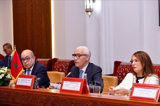 Chủ tịch Hạ viện Maroc Rachid Talbi Alami phát biểu tại cuộc hội đàm với Chủ tịch Quốc hội Trần Thanh Mẫn. Ảnh: Doãn Tấn - TTXVN