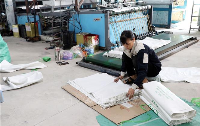 Công nhân sản xuất bao bì tại Công ty Cổ phần Trịnh Nghiên. Ảnh: Nguyễn Lành - TTXVN 
