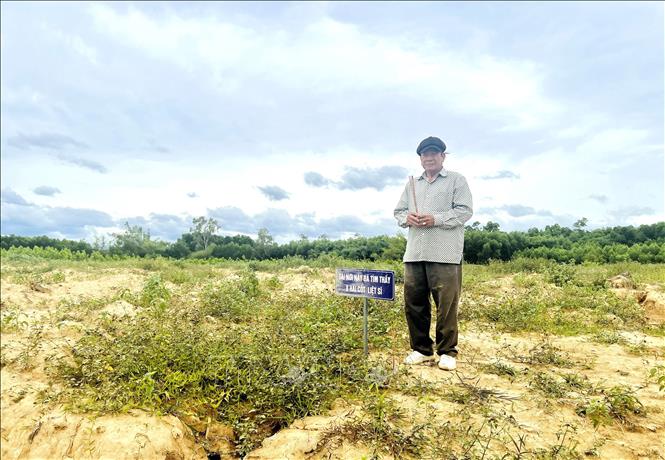 Trong quá trình làm vườn, ông Bùi Hữu Tuấn đã phát hiện 8 hài cốt liệt sĩ Trung đoàn 88, Sư đoàn 308 hy sinh trong trận đánh đêm 26/5/1972. Ảnh: Nguyên Linh-TTXVN