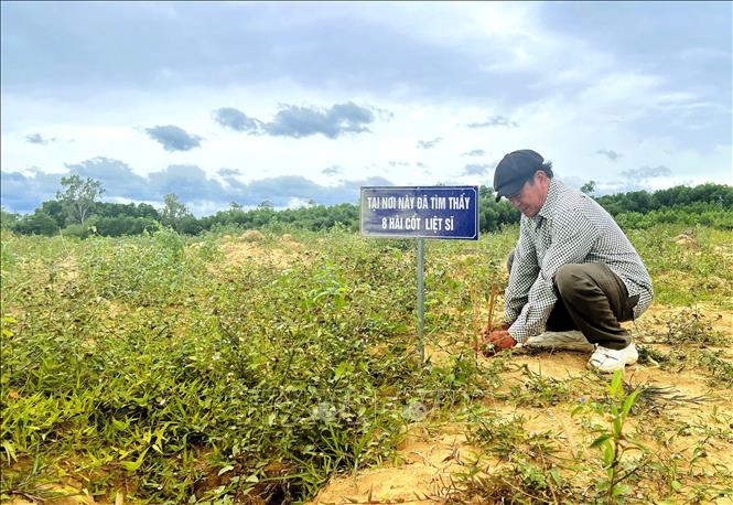 Trong quá trình làm vườn, ông Bùi Hữu Tuấn đã phát hiện 8 hài cốt liệt sĩ Trung đoàn 88, Sư đoàn 308 hy sinh trong trận đánh đêm 26/5/1972. Ảnh: Nguyên Linh-TTXVN