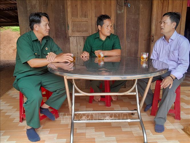 Hội cựu chiến binh tham, vận động hội viên trong hội phát triển kinh tế. Ảnh:  K GỬIH -TTXVN
