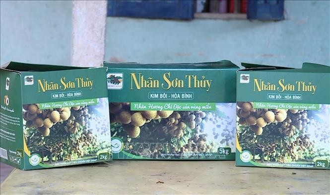 Boxes of Son Thuy longan ready for market's consumption. VNA Photo: Thanh Hải