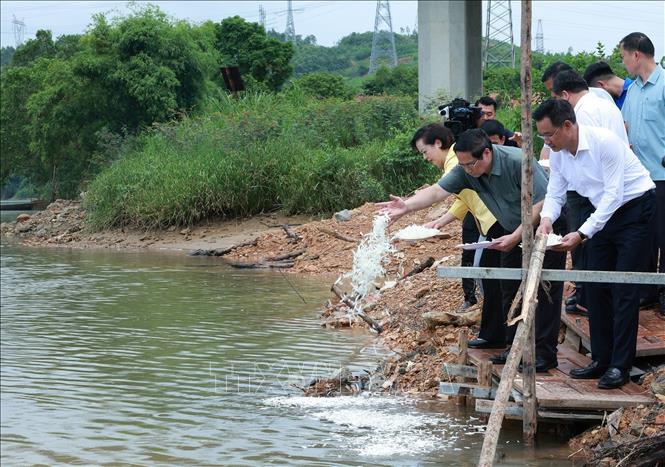 Thủ tướng Phạm Minh Chính thả hoa xuống dòng sông Long Đại, nơi 16 thanh niên xung phong hy sinh năm 1972. Ảnh: Dương Giang-TTXVN
