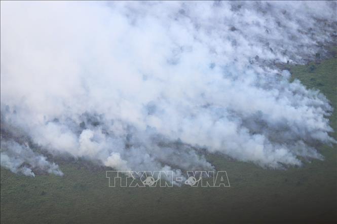 Khói bốc lên từ khu vực cháy rừng và cháy đất ở tỉnh Riau, Indonesia ngày 21/7/2025. Ảnh: THX/TTXVN