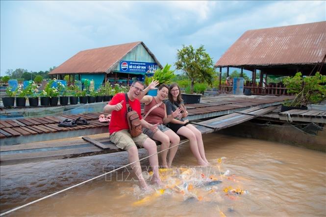 Du khách nước ngoài trải nghiệm mát xa cá độc đáo tại bè cá Bảy Bon. Ảnh: Thanh Liêm - TTXVN