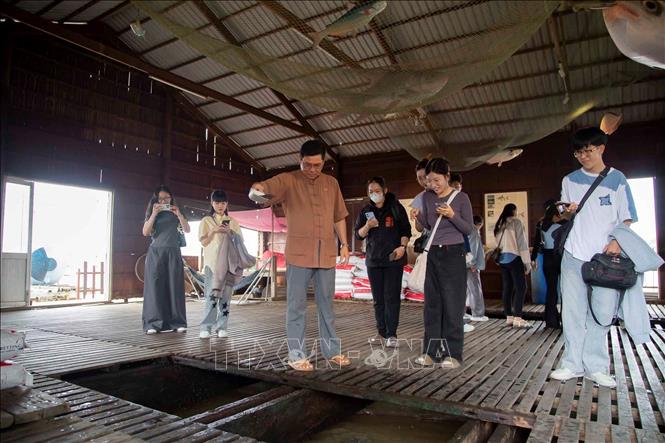 Du khách quan sát ông Bảy Bon cho cá ăn tại bè và tìm hiểu về đặc tính của các loài cá sông Mê Kông. Ảnh: Thanh Liêm - TTXVN