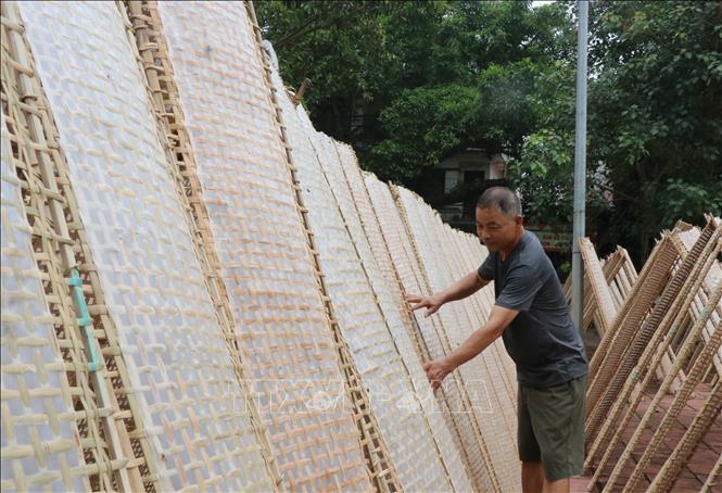 Bánh đa nem Thổ Hà phơi khô dưới nắng, khi sử dụng có mùi thơm đặc trưng. Ảnh: Thanh Thương- TTXVN