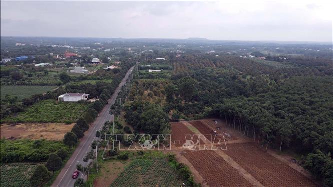 Khu vực đơn vị tư vấn đề xuất tuyến đường cao tốc Long Thành - Hồ Tràm chạy qua. Ảnh: Đoàn Mạnh Dương-TTXVN