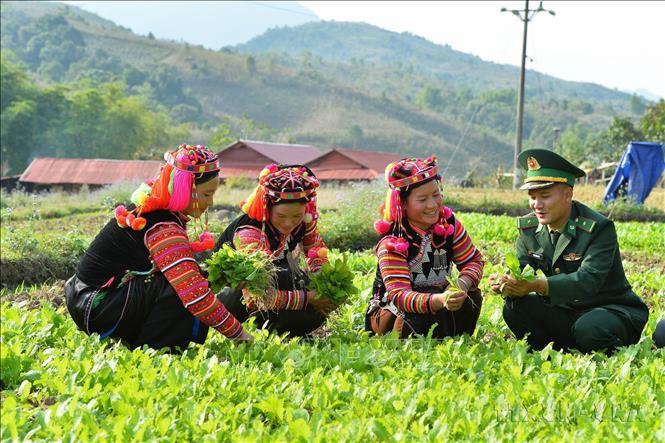 Ngành Tuyên giáo đã tuyên truyền về các giá trị nhân văn tốt đẹp chia sẻ, hỗ trợ lẫn nhau; tinh thần cộng đồng, tập thể, các hành vi ứng xử nhân ái, nghĩa tình, phù hợp...Trong ảnh: Cán bộ Đồn Biên phòng A Pa Chải (Điện Biên) giúp đỡ người dân phát triển kinh tế, xóa đói, giảm nghèo, góp phần xây dựng nông thôn mới, củng cố mối quan hệ đoàn kết, gắn bó quân dân. Ảnh: Minh Đức - TTXVN