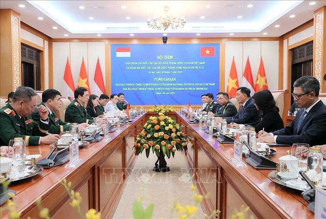 Đại tướng, Bộ trưởng Bộ Quốc phòng Phan Văn Giang và Bộ trưởng Bộ Quốc phòng Indonesia Sjafrie Sjamsoeddin tiến hành hội đàm sau lễ đón. Ảnh: An Đăng - TTXVN