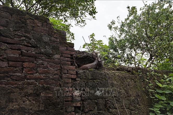 Một đoạn tường thành xây bằng đá ong và gạch bát còn sót lại tại cổng thành phía Tây. Ảnh: Trọng Đạt-TTXVN