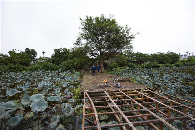 Nhiều công trình nhà ở, vườn cây ăn quả đã được người dân xóm Bá Lam, xã Cao Dương xây dựng trong khuôn viên đã và đang làm mất đi những dấu vết còn sót lại của địa danh này. Ảnh: Trọng Đạt-TTXVN