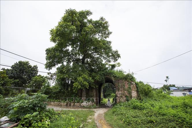 ‘Thành nhà Mạc (theo cách gọi của người dân xóm Bá Lam) chỉ còn lại cổng thành phía Tây khá nguyên vẹn, kiến trúc mái vòm với các lớp khác nhau xây bằng gạch bát. Ảnh: Trọng Đạt-TTXVN