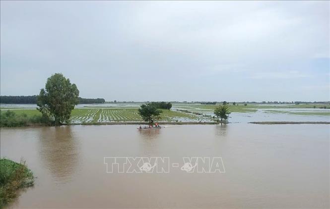 Sau khi đóng hai cống Tha La và Trà Sư, mực nước nội đồng khu vực tỉnh An Giang có khả năng giảm khoảng 0,3m; khu vực thành phố Cần Thơ giảm khoảng 0,2m; tạo thuận lợi cho các hoạt động sản xuất và dân sinh của người dân vùng hạ du. Ảnh: Công Mạo-TTXVN