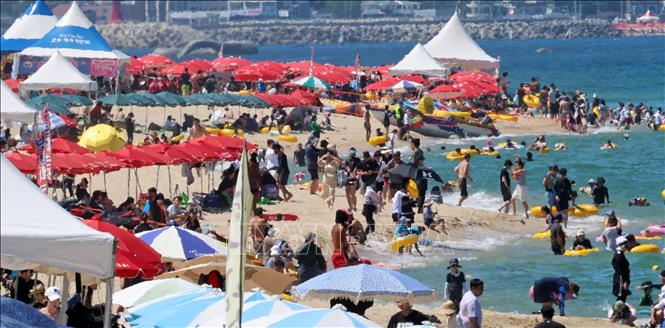 Người dân tắm biển tránh nóng tại Gangwon, Hàn Quốc ngày 27/7/2025. Ảnh: Yonhap/TTXVN