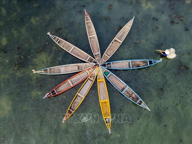 Colourful boats that take visitors to explore O Loan Lagoon. VNA Photo: Khánh Hòa