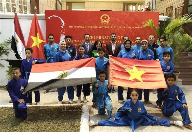 Đại sứ Việt Nam tại Ai Cập Trần Thành Công và phu nhân chụp ảnh cùng CLB Vovinam tại Ai Cập trong Lễ kỷ niệm 74 năm Ngày Quốc khánh Việt Nam (Cairo, 12/9/2019). Ảnh: Việt Khoa - TTXVN