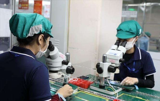 Các mặt hàng xuất khẩu chính của Việt Nam sang Ai Cập bao gồm máy vi tính, sản phẩm điện tử, linh kiện, hàng thủy sản, hạt tiêu, sợi, cà phê, và các sản phẩm nông nghiệp khác...Trong ảnh: Sản xuất linh kiện điện tử tại Công ty TNHH Sumida (Nhật Bản) trong KCN Tịnh Phong (Quảng Ngãi). Ảnh: Quốc Khánh – TTXVN