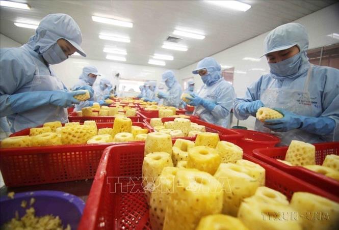 Các mặt hàng xuất khẩu chính của Việt Nam sang Ai Cập bao gồm máy vi tính, sản phẩm điện tử, linh kiện, hàng thủy sản, hạt tiêu, sợi, cà phê, và các sản phẩm nông nghiệp khác...Trong ảnh:Chế biến sản phẩm dứa đóng hộp tại nhà máy của Công ty CP xuất nhập khẩu nông sản An Giang. Ảnh: Vũ Sinh – TTXVN