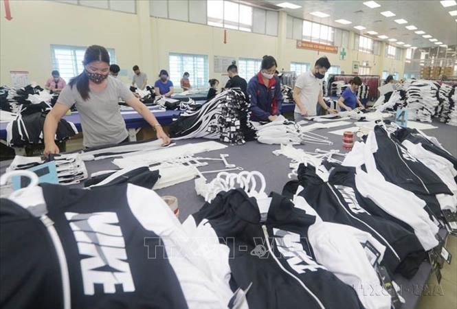 Các mặt hàng xuất khẩu chính của Việt Nam sang Ai Cập bao gồm máy vi tính, sản phẩm điện tử, linh kiện, hàng thủy sản, hạt tiêu, sợi, cà phê, và các sản phẩm nông nghiệp khác...Trong ảnh: May xuất khẩu tại Công ty may TNG Thái Nguyên. Ảnh: Trần Việt - TTXVN 