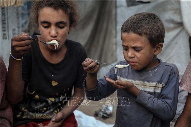 Các em nhỏ tại trại tị nạn ở Gaza. Ảnh: THX/TTXVN