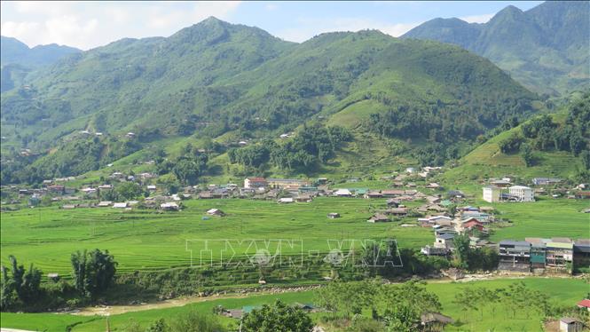 Bản làng thanh bình giữa mùa lúa xanh ở Tả Van. Ảnh: Hương Thu-TTXVN