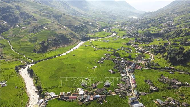 Bản làng thanh bình giữa mùa lúa xanh ở Tả Van. Ảnh: Hương Thu - TTXVN