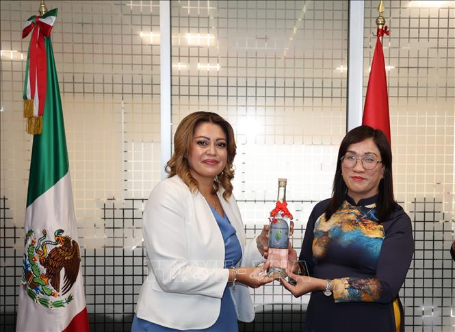 Hạ nghị sĩ Ana Karina Rojo Pimentel, Chủ tịch Ủy ban Phúc lợi Hạ viện Mexico, Chủ tịch Nhóm Nghị sĩ Hữu nghị Mexico – Việt Nam trao quà lưu niệm cho Phó Trưởng Ban Tuyên giáo và Dân vận Trung ương Đinh Thị Mai. Ảnh: Phi Hùng - PV TTXVN tại Mexico
