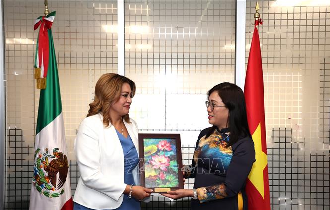 Phó Trưởng Ban Tuyên giáo và Dân vận Trung ương Đinh Thị Mai trao quà lưu niệm cho Hạ nghị sĩ Ana Karina Rojo Pimentel, Chủ tịch Ủy ban Phúc lợi Hạ viện Mexico, Chủ tịch Nhóm Nghị sĩ Hữu nghị Mexico – Việt Nam. Ảnh: Phi Hùng - PV TTXVN tại Mexico
