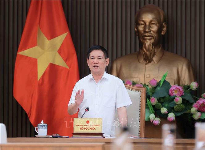 Phó Thủ tướng Hồ Đức Phớc phát biểu. Ảnh: An Đăng - TTXVN