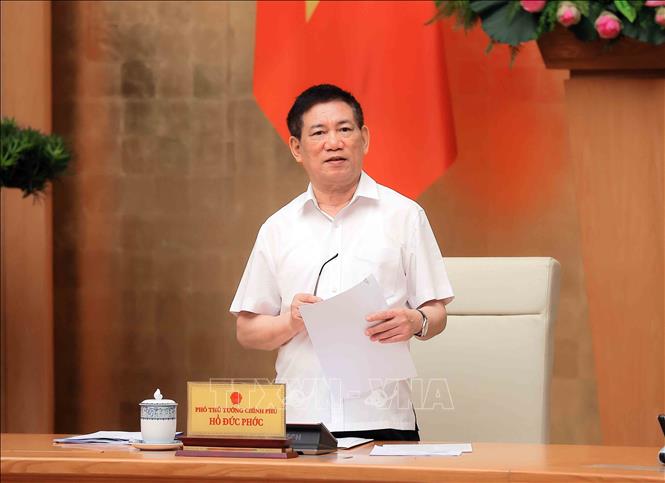 Deputy Prime Minister Ho Duc Phoc speaks at the meeting. VNA Photo: An Đăng
