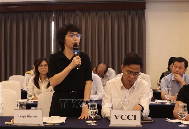 Bà Nguyễn Thu Hường, Bộ phận giải quyết tranh chấp và bất đồng về thuế, Công ty KPMG Việt Nam phát biểu ý kiến tại hội thảo. Ảnh: Xuân Anh - TTXVN