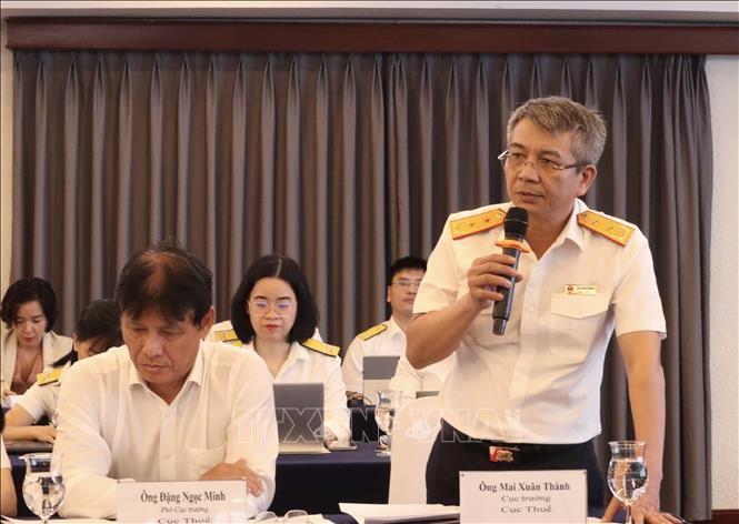 Ông Mai Xuân Thành, Cục trưởng Cục Thuế phát biểu tại hội thảo. Ảnh: Xuân Anh - TTXVN