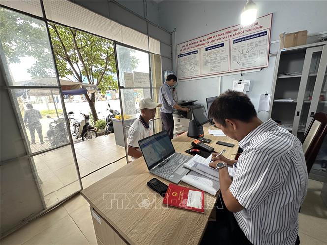 Tam Quang Port staff are on duty around the clock to handle procedures for vessel arrivals and proactively detect any violations related to IUU fishing. VNA Photo: Đỗ Trưởng 
