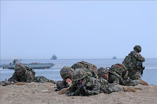 Lính thuỷ đánh bộ Hàn Quốc tham gia cuộc tập trận đổ bộ tại Pohang, tỉnh Bắc Gyeongsang ngày 28/4/2025. Ảnh: Yonhap/TTXVN