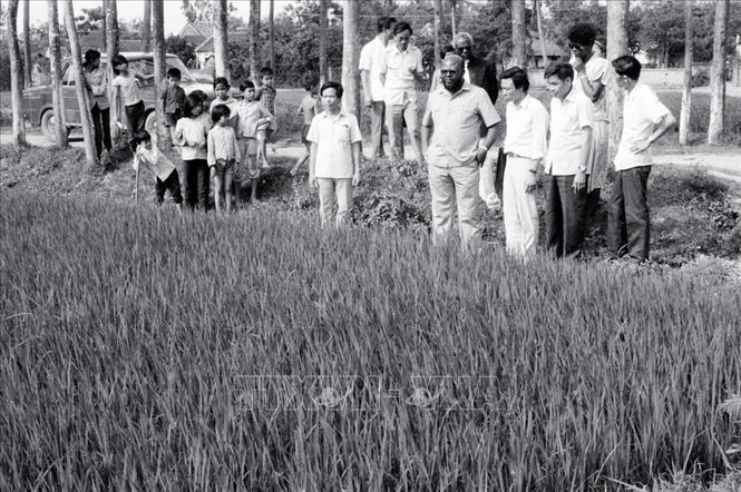  Bộ trưởng Nông nghiệp Angola Fernando Faustino Muteka cùng đoàn công tác chính phủ Angola thăm HTX Nông nghiệp Đa Tốn, huyện Gia Lâm, Hà Nội (3/5/1984). Ảnh: Kim Hùng – TTXVN